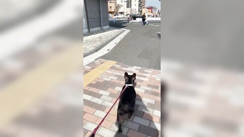 [Twitter] いくみ – (193iKkyu3) (10.11.2022) [2476P116V-1.04GB] (21)
