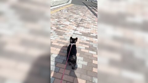 [Twitter] いくみ – (193iKkyu3) (10.11.2022) [2476P116V-1.04GB] (21)