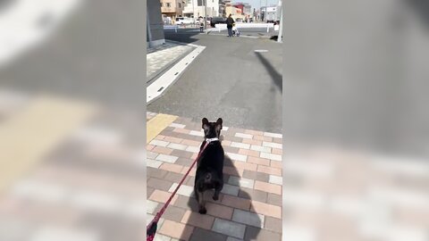 [Twitter] いくみ – (193iKkyu3) (10.11.2022) [2476P116V-1.04GB] (21)