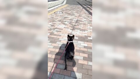 [Twitter] いくみ – (193iKkyu3) (10.11.2022) [2476P116V-1.04GB] (21)