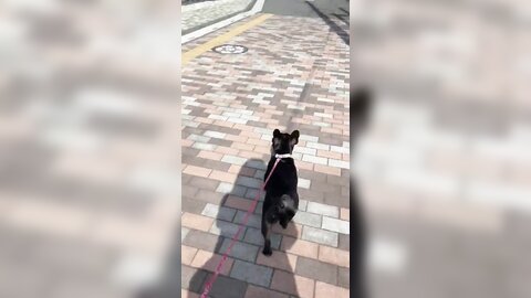 [Twitter] いくみ – (193iKkyu3) (10.11.2022) [2476P116V-1.04GB] (21)
