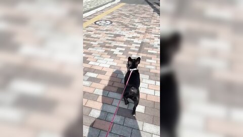 [Twitter] いくみ – (193iKkyu3) (10.11.2022) [2476P116V-1.04GB] (21)