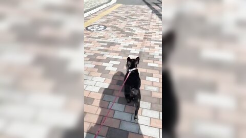 [Twitter] いくみ – (193iKkyu3) (10.11.2022) [2476P116V-1.04GB] (21)