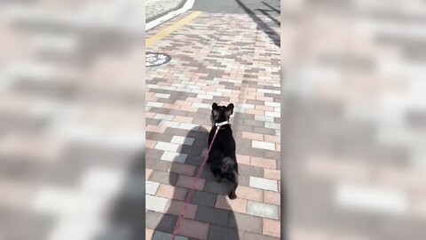 [Twitter] いくみ – (193iKkyu3) (10.11.2022) [2476P116V-1.04GB] (21)
