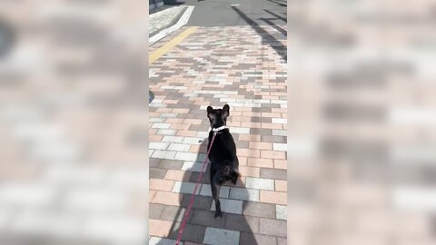 [Twitter] いくみ – (193iKkyu3) (10.11.2022) [2476P116V-1.04GB] (21)