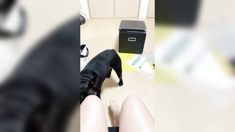 [Twitter] いくみ – (193iKkyu3) (10.11.2022) [2476P116V-1.04GB] (30)