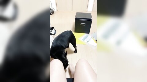 [Twitter] いくみ – (193iKkyu3) (10.11.2022) [2476P116V-1.04GB] (30)