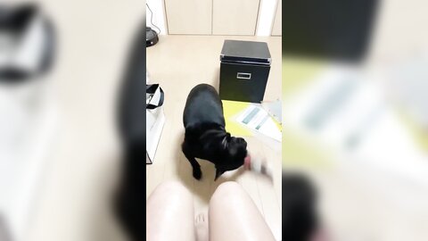 [Twitter] いくみ – (193iKkyu3) (10.11.2022) [2476P116V-1.04GB] (30)