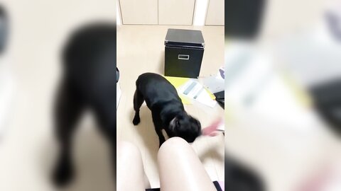 [Twitter] いくみ – (193iKkyu3) (10.11.2022) [2476P116V-1.04GB] (30)