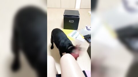 [Twitter] いくみ – (193iKkyu3) (10.11.2022) [2476P116V-1.04GB] (30)