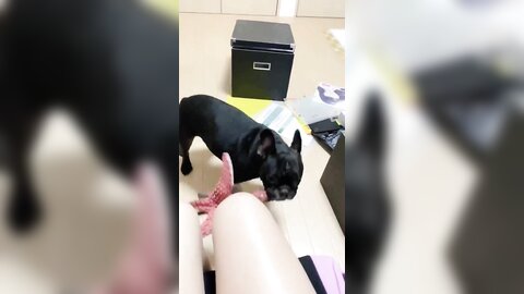 [Twitter] いくみ – (193iKkyu3) (10.11.2022) [2476P116V-1.04GB] (30)