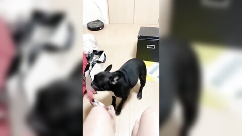 [Twitter] いくみ – (193iKkyu3) (10.11.2022) [2476P116V-1.04GB] (30)
