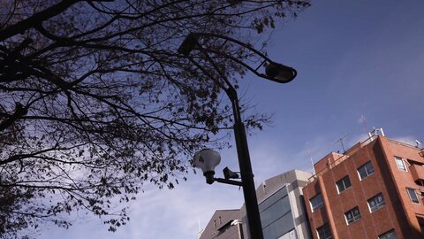 EROFV-091 Amateur Female College Student [Limited] Yu -chan 20 -year -old Uniform Reflation Geki Kawa JD and...