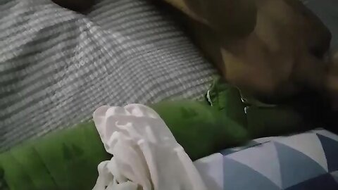 2017-09-09 23 07 03 1 YRL6IztHCwEgN2pN