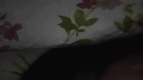 2017-09-09 23 20 38 1 Y4phLv qAZuI7tH