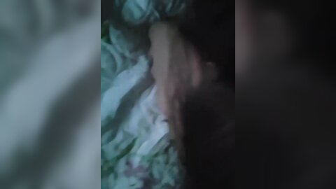 2017-09-10 20 11 34 1 f0sy0b7O-qeihQh3