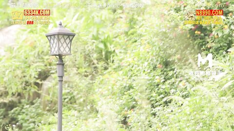 MTVQ19-EP2野外露初Tent2艳阳高照的林间野炮