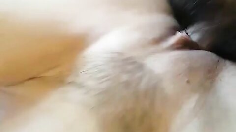 2017-10-16 00 23 23 1 hwGuoeaS3f2xvPMw