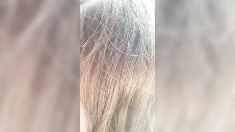 2017-11-03 12 54 56 1 ne14HrKfWbJgAwJk