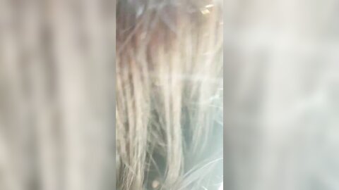 2017-11-03 12 54 56 1 ne14HrKfWbJgAwJk