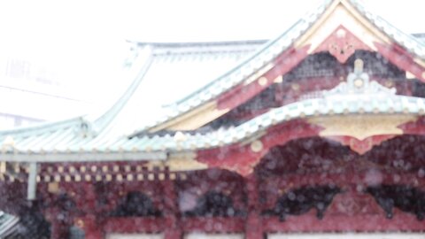 東京に雪が降った日❄️_by_いくみ