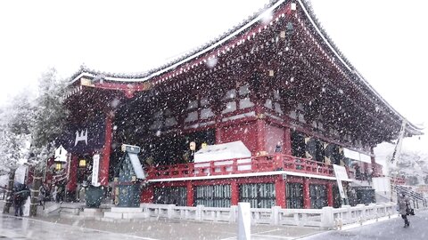 東京に雪が降った日❄️_by_いくみ