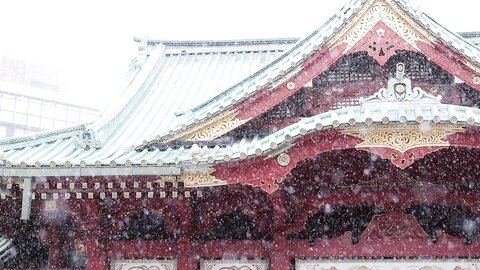 東京に雪が降った日❄️_by_いくみ