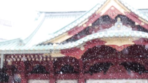 東京に雪が降った日❄️_by_いくみ