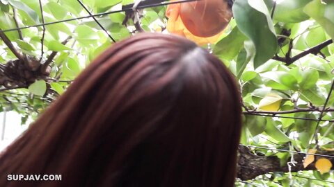 4137624 First photo shoot and face to face! Limited until tomorrow! A graduate of a famous girls` academy, a naive young lady who grew up without knowing hardship because of her beauty... A beautiful girl who...