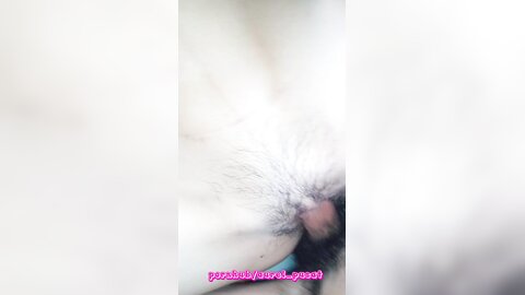 Bokep Ngentot Abg Crot Didalam Memek Berbulu Creampie