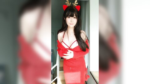 動画