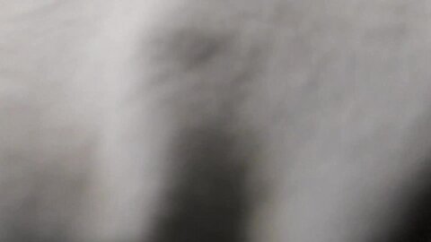 28122023 3700