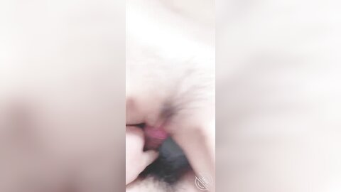 29122023 0519
