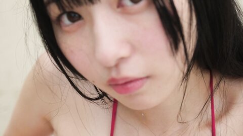AIPI-0052