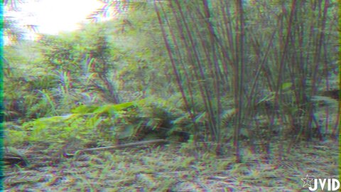 JVID 幽灵鬼姬 – 乐乐 115P2V-2GB