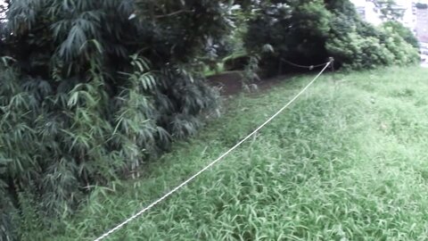 Japanese Babe Blows A Guy With Hairy Dick On The Stairs