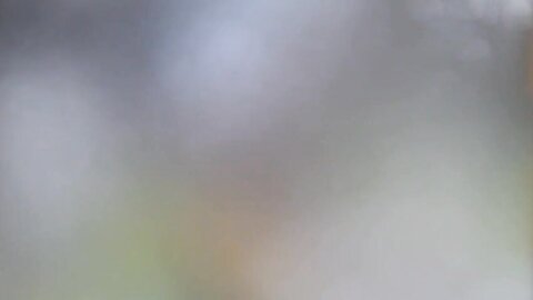 MIST-041 And Please Someone Stop The I When It Is Good.When You Give To Stop The Girl In Trouble, To Turn...