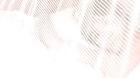 SFLBK-007
