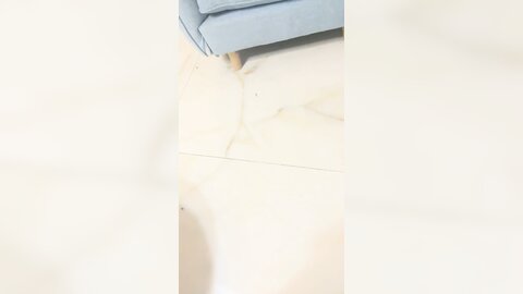 Homemade 0858