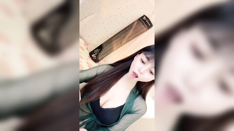 Webcam 0875