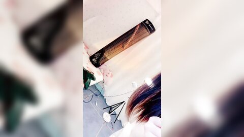 Webcam 0875
