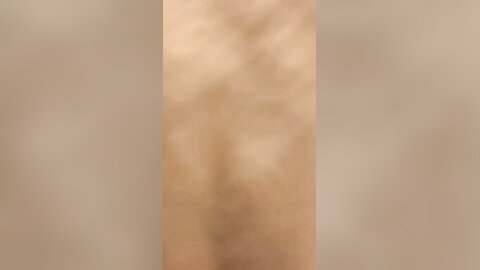 1244