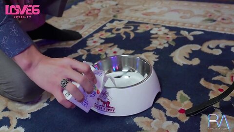 RAS-216SM奴隸調教所