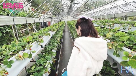 RAS-286完全主觀甜蜜約會純真OL逆搭訕SEX