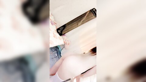 Webcam 0877
