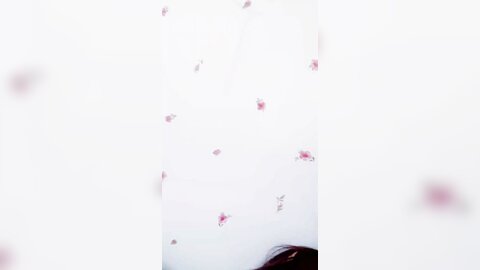 Webcam 0877
