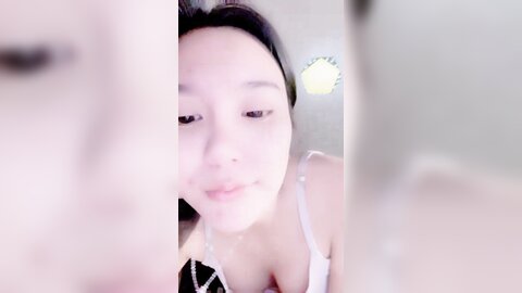 Webcam 0878
