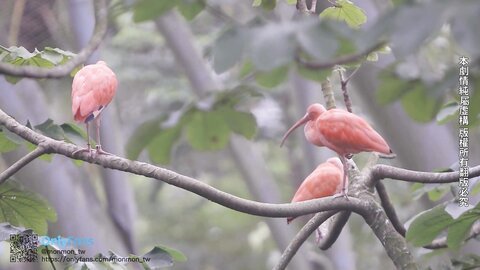 台灣性愛之旅 台北篇 6437A50D73B80