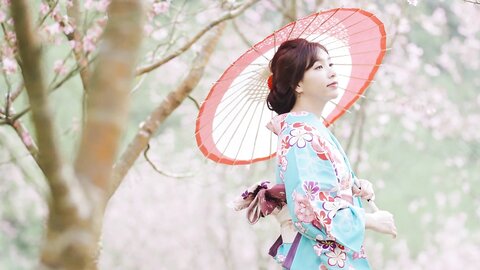 台灣性愛旅行 櫻花篇 Ph6245E87B5E6Fc