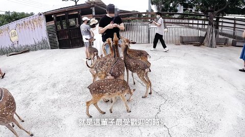 性愛旅行系列 小琉球篇 Ph62C7Ff731564E